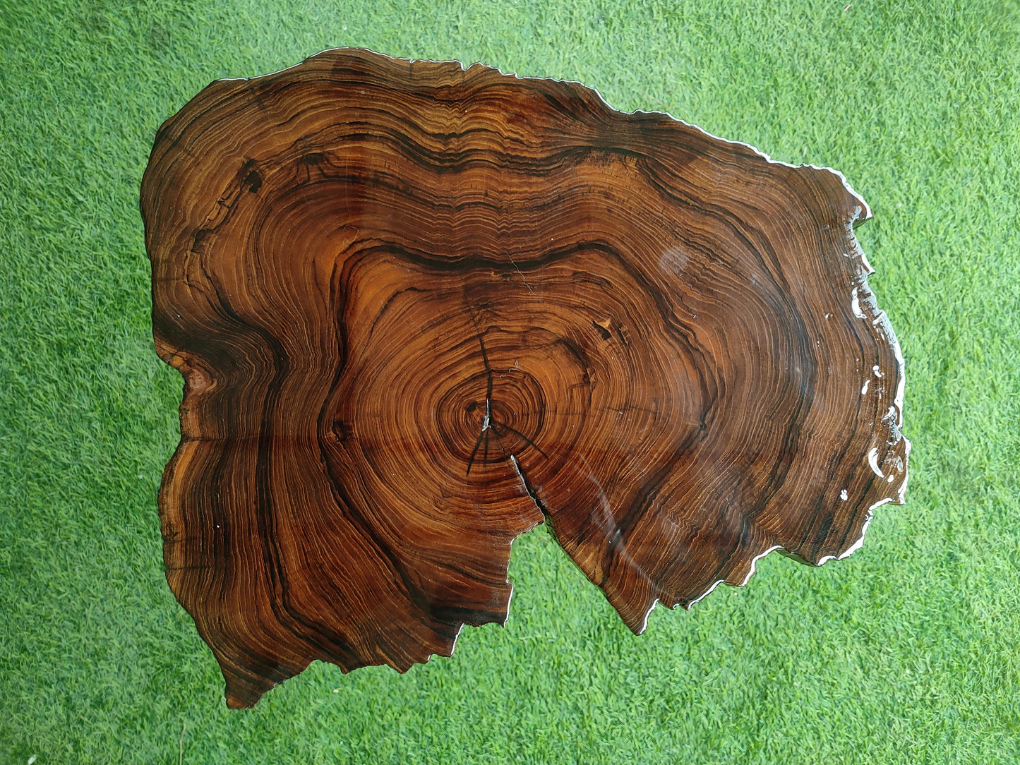 SMALL | Wooden LIVE EDGE | Epoxy Resin Coffee Table