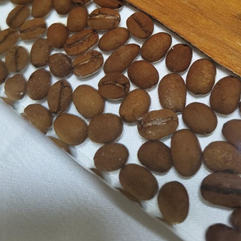 LUX Tray M/O Embedded Coffee Beans + Handles